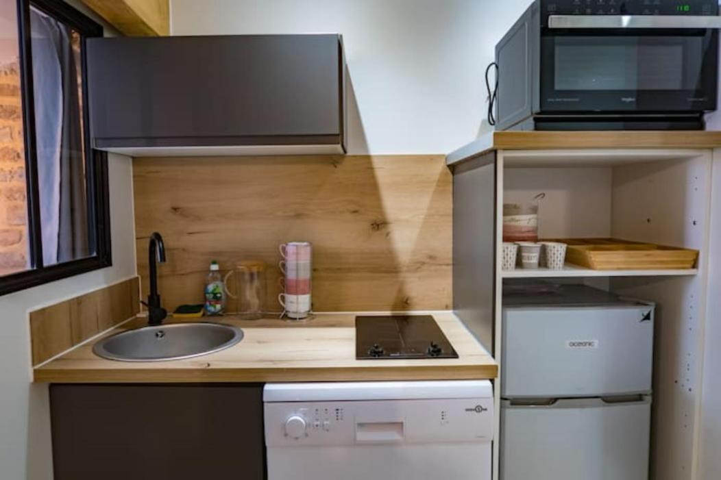 גרנובל Appartement Sur Les Toits 2 Pieces Cocooning מראה חיצוני תמונה